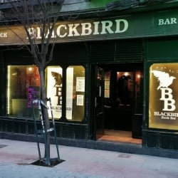 Bar De Rock En Madrid Blackbird
