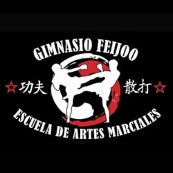 Logo Gimnasio Feijoo Madrid